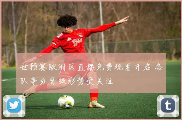 世预赛欧洲区直播免费观看开启 各队争分晋级形势受关注