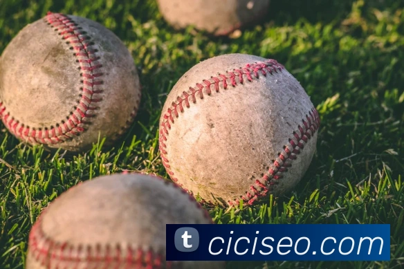 世界杯官网线上平台品牌故事