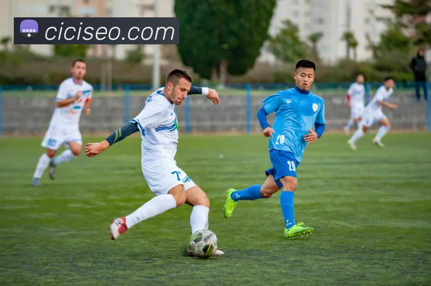 世界杯官网线上平台服务体系